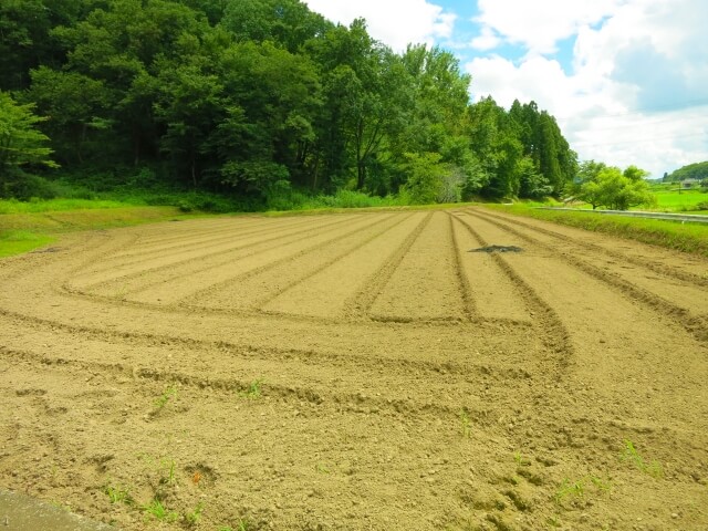 土地を相続するときに売却代金で分割する方法