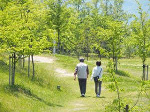 相続法の中間試案まとまる